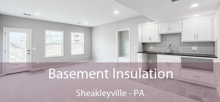 Basement Insulation Sheakleyville - PA