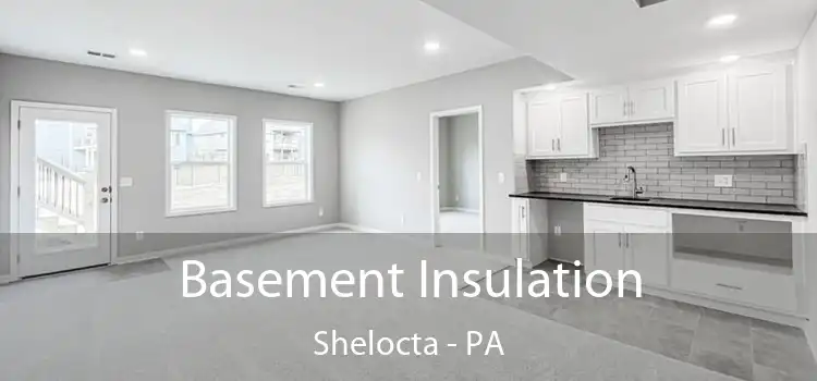 Basement Insulation Shelocta - PA