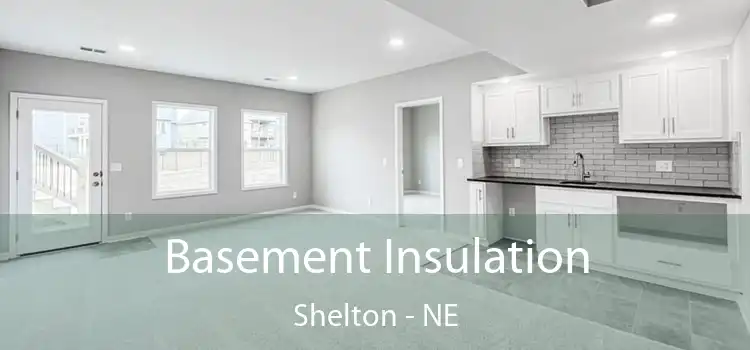  Basement Insulation Shelton - NE