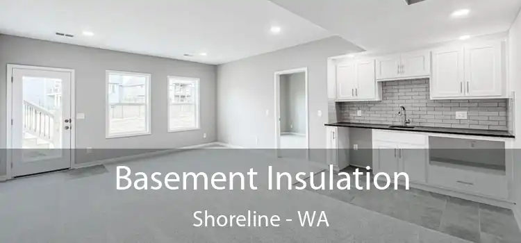 Basement Insulation Shoreline - WA