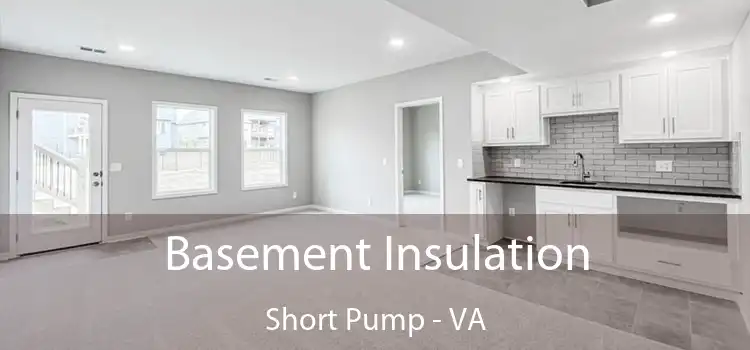 Basement Insulation Short Pump - VA