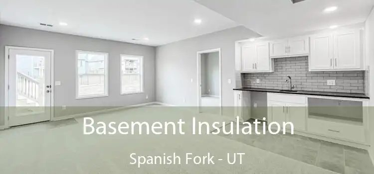 Basement Insulation Spanish Fork - UT