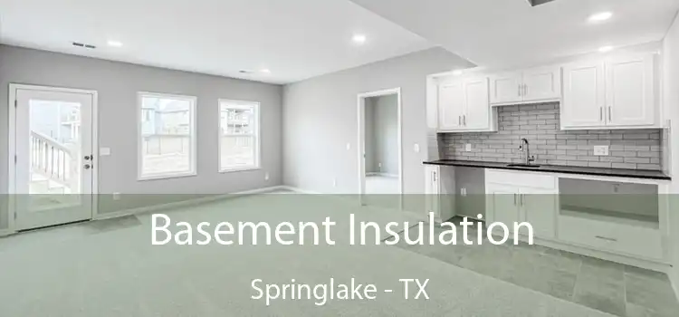 Basement Insulation Springlake - TX