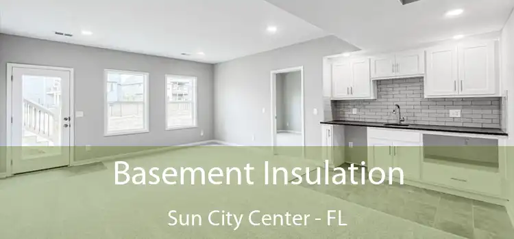 Basement Insulation Sun City Center - FL