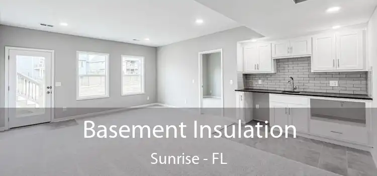 Basement Insulation Sunrise - FL