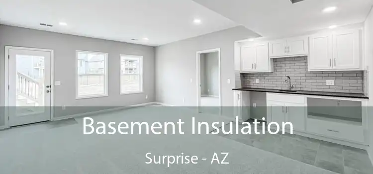  Basement Insulation Surprise - AZ