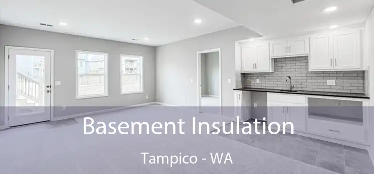 Basement Insulation Tampico - WA