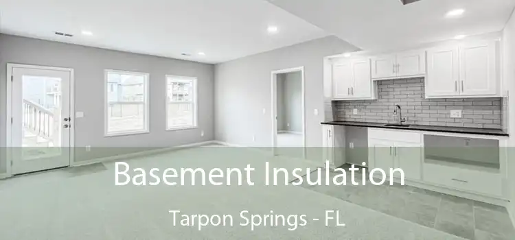 Basement Insulation Tarpon Springs - FL
