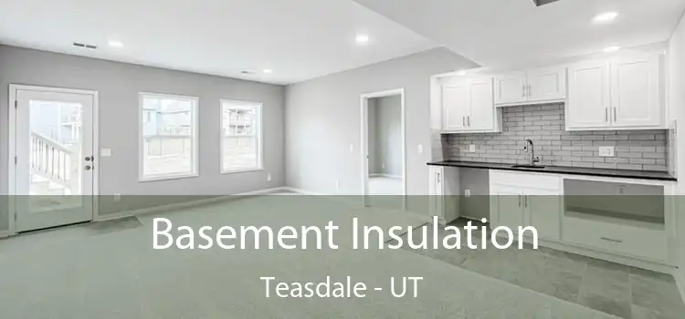 Basement Insulation Teasdale - UT