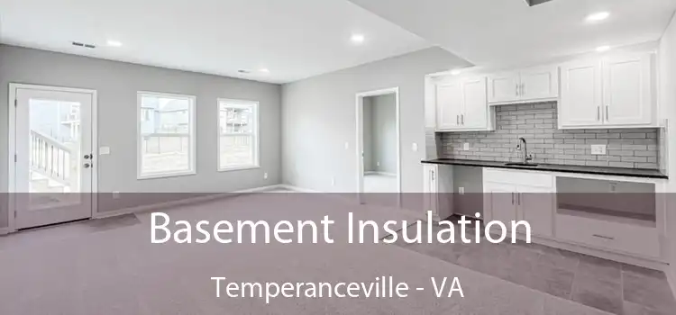 Basement Insulation Temperanceville - VA