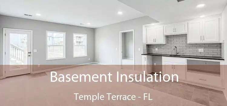 Basement Insulation Temple Terrace - FL