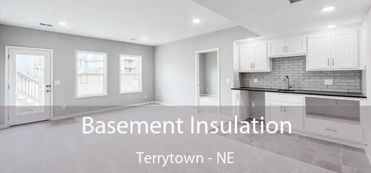 Basement Insulation Terrytown - NE