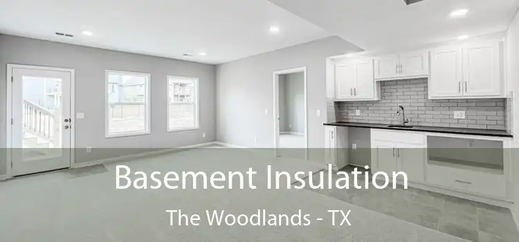 Basement Insulation The Woodlands - TX