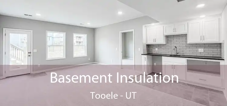 Basement Insulation Tooele - UT