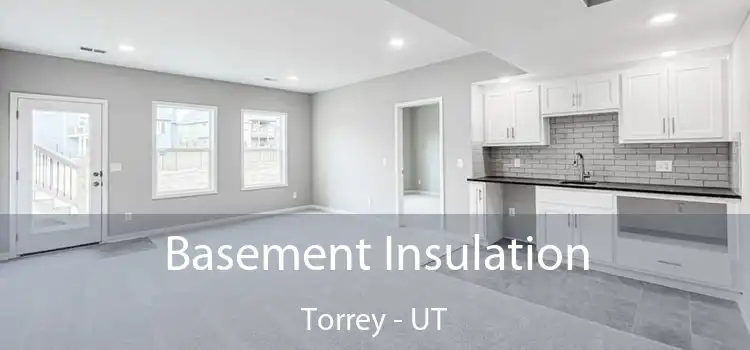 Basement Insulation Torrey - UT
