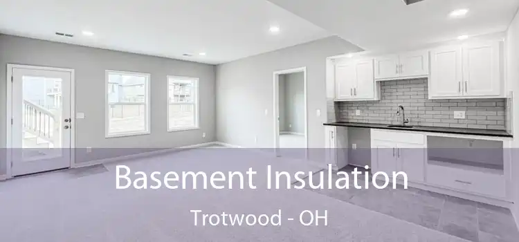 Basement Insulation Trotwood - OH