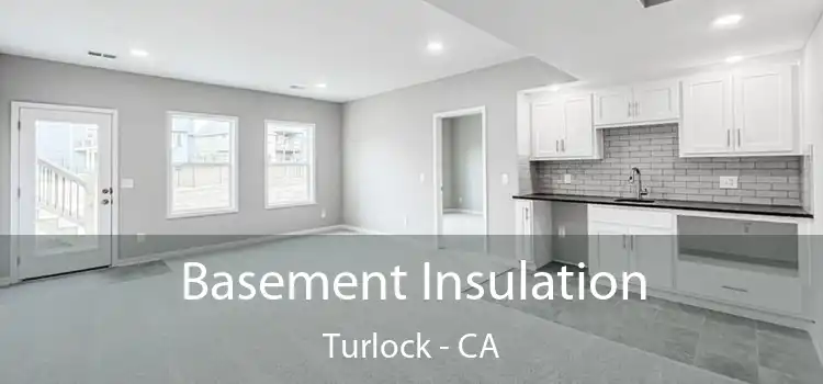  Basement Insulation Turlock - CA