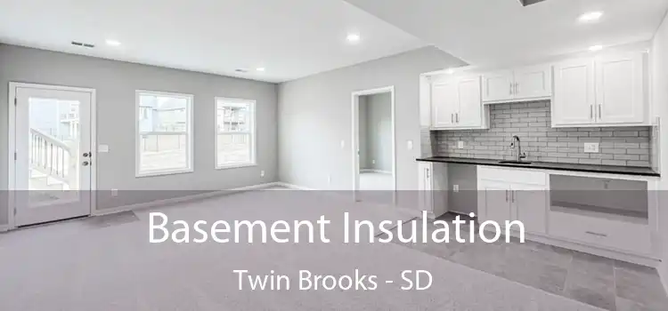  Basement Insulation Twin Brooks - SD