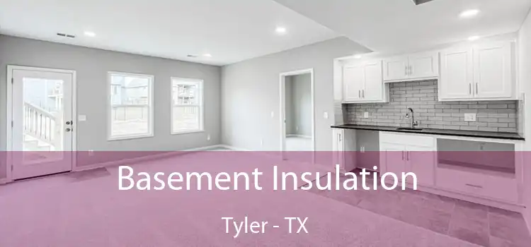 Basement Insulation Tyler - TX