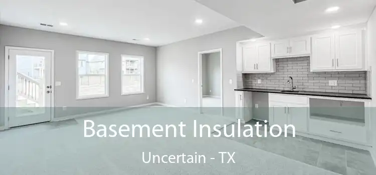 Basement Insulation Uncertain - TX
