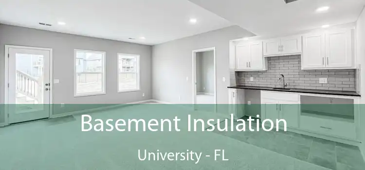 Basement Insulation University - FL