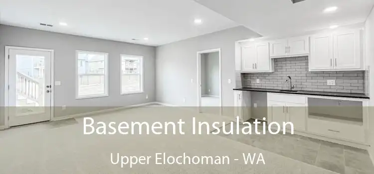 Basement Insulation Upper Elochoman - WA