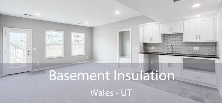 Basement Insulation Wales - UT