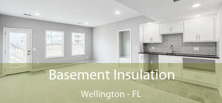 Basement Insulation Wellington - FL