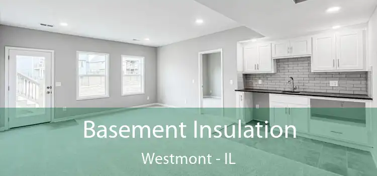 Basement Insulation Westmont - IL