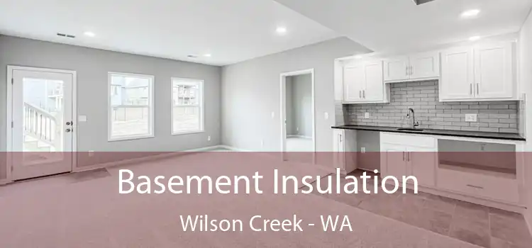 Basement Insulation Wilson Creek - WA