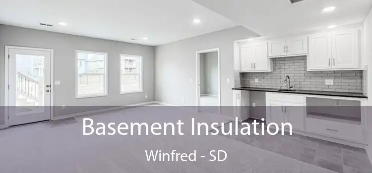 Basement Insulation Winfred - SD