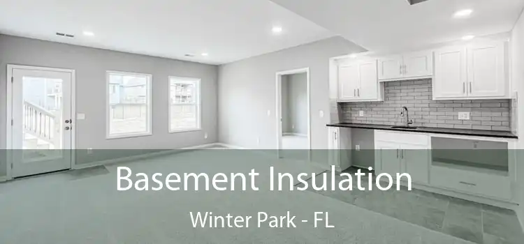 Basement Insulation Winter Park - FL