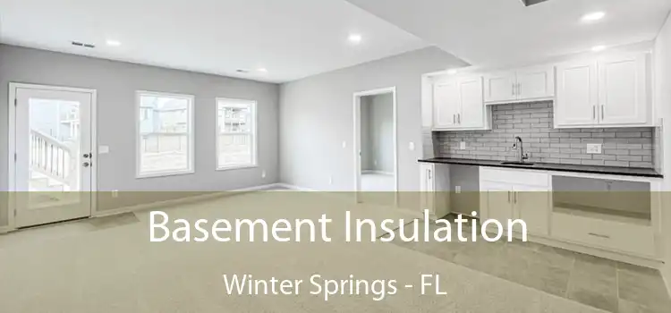 Basement Insulation Winter Springs - FL