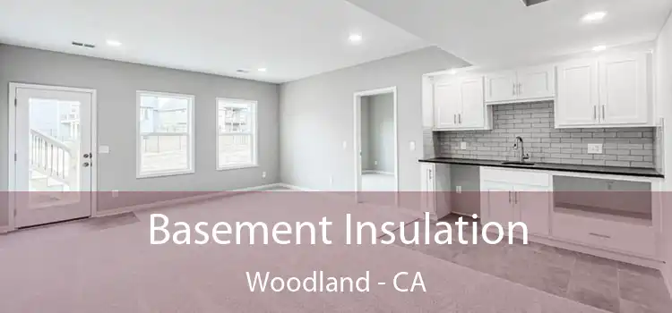  Basement Insulation Woodland - CA