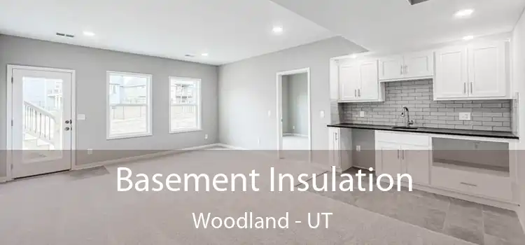 Basement Insulation Woodland - UT