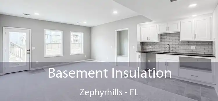 Basement Insulation Zephyrhills - FL