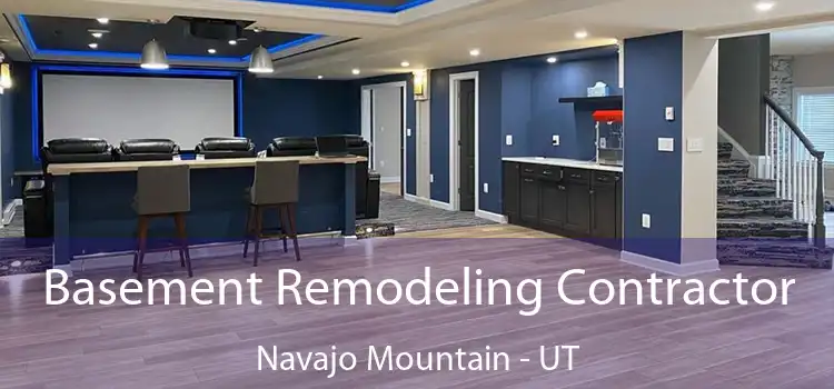 Basement Remodeling Contractor Navajo Mountain - UT