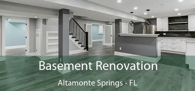 Basement Renovation Altamonte Springs - FL