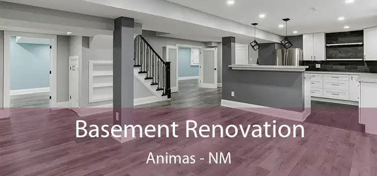 Basement Renovation Animas - NM