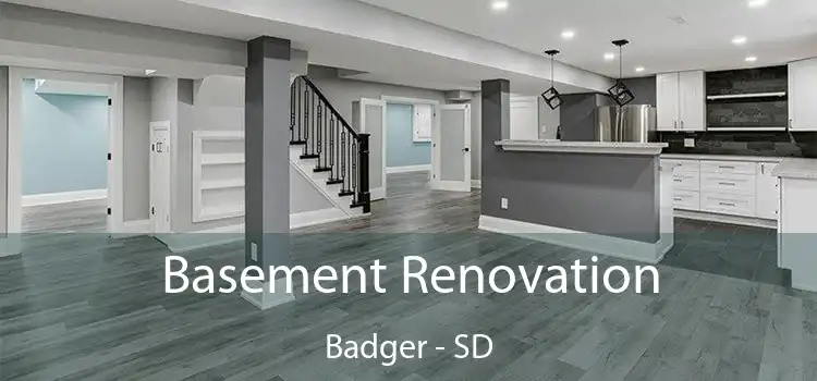 Basement Renovation Badger - SD
