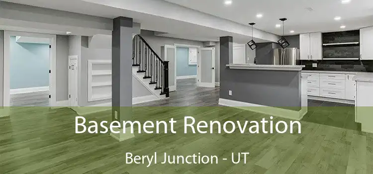 Basement Renovation Beryl Junction - UT