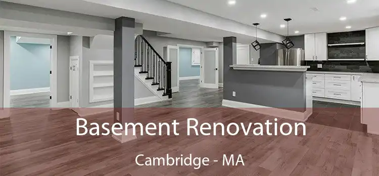  Basement Renovation Cambridge - MA