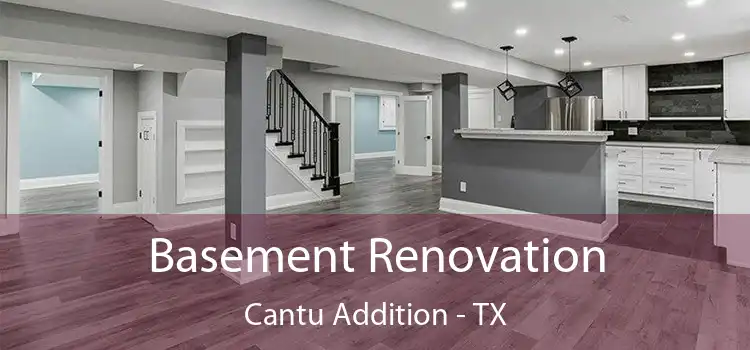  Basement Renovation Cantu Addition - TX