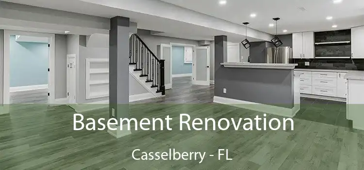  Basement Renovation Casselberry - FL