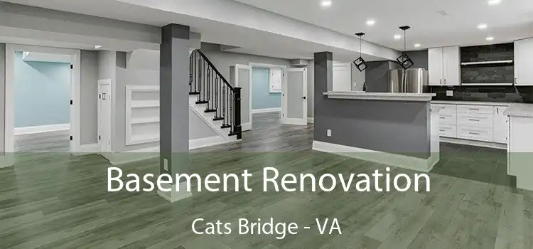 Basement Renovation Cats Bridge - VA