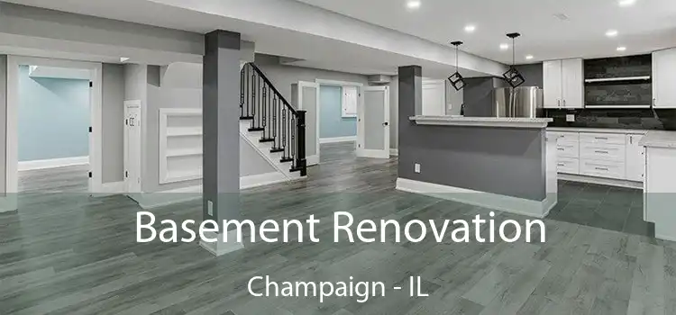 Basement Renovation Champaign - IL