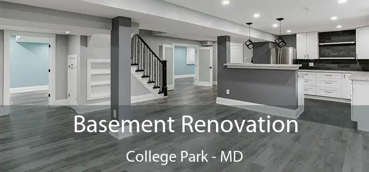 Basement Renovation College Park - MD