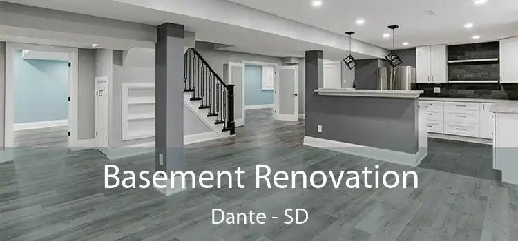 Basement Renovation Dante - SD