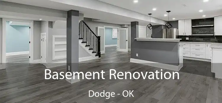 Basement Renovation Dodge - OK