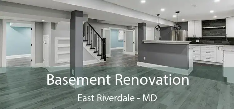 Basement Renovation East Riverdale - MD